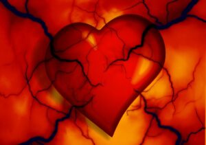 Heart and Vessels (part 2).  Y5