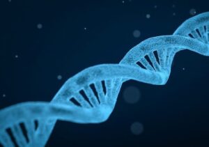 Introductions to Genetics.  Y5