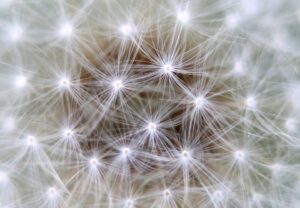 Neural Networks - part 2. Y5
