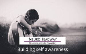 Building Self Awareness   Y5