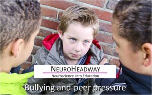 Bullying and Peer Pressure.