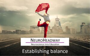 Establishing Balance  Y3