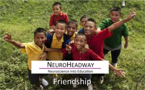 Friendships