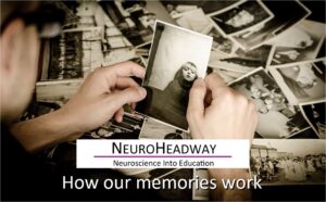 How Our Memories Work