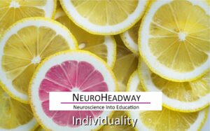 Indivduality Y5