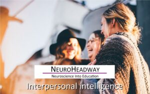 Intrapersonal Intelligence
