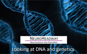 DNA and Genetics