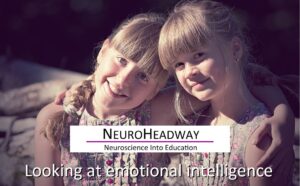 Emotional Intelligence