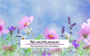 Mindfulness