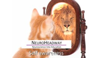 Self Awareness