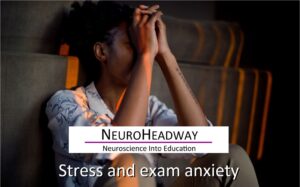 Stress and Exam Anxiety