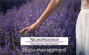 Stress Management