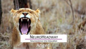 Anger