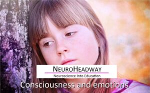 Consciousness and Emotions