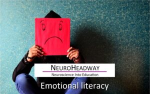 Emotional Literacy