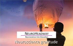 Gratitude Y5