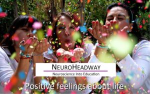 Positive Feelings About Life