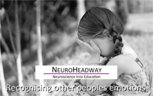 Recognising Other People's Emotions