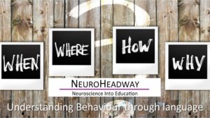 Behaviour through Language