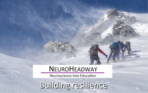 Building Resilience