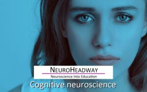 Cognitive Neuroscience