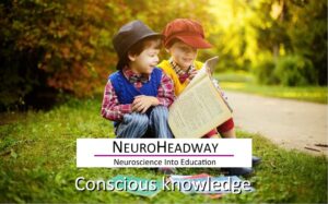 Conscious Knowledge