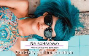 Curiosity and Imagination