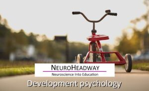 Developmental Psychology