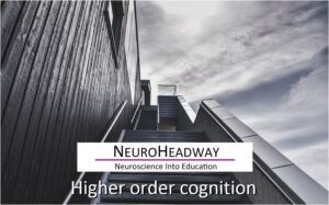 Higher Order Cognition