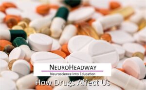 How Drugs Affect Us