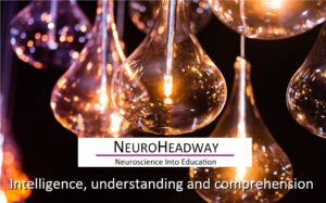 Intelligence, Understanding and Comprehension