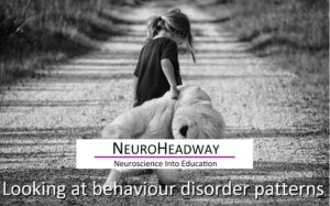 Looking at Behaviour Disorder Patterns
