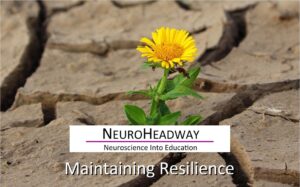 Maintaining Resilience