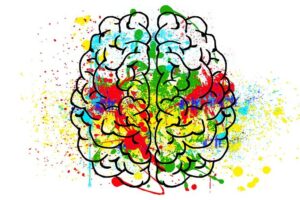 Neuropsychology Y6