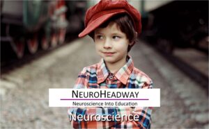 Neuroscience