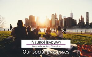 Our Social Processes