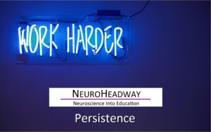 Persistence