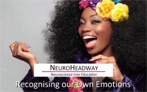 Recognising our Own Emotions.