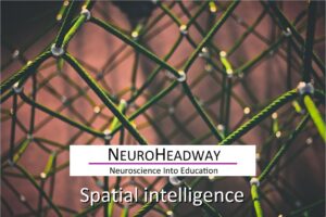 Spatial Intelligence