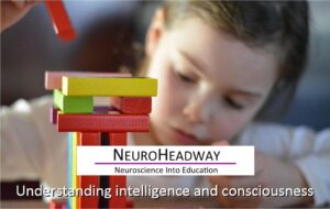 Understanding Intelligence and Conciousness Y4