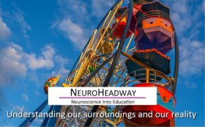 Understanding Our Surroundings and Our Reality